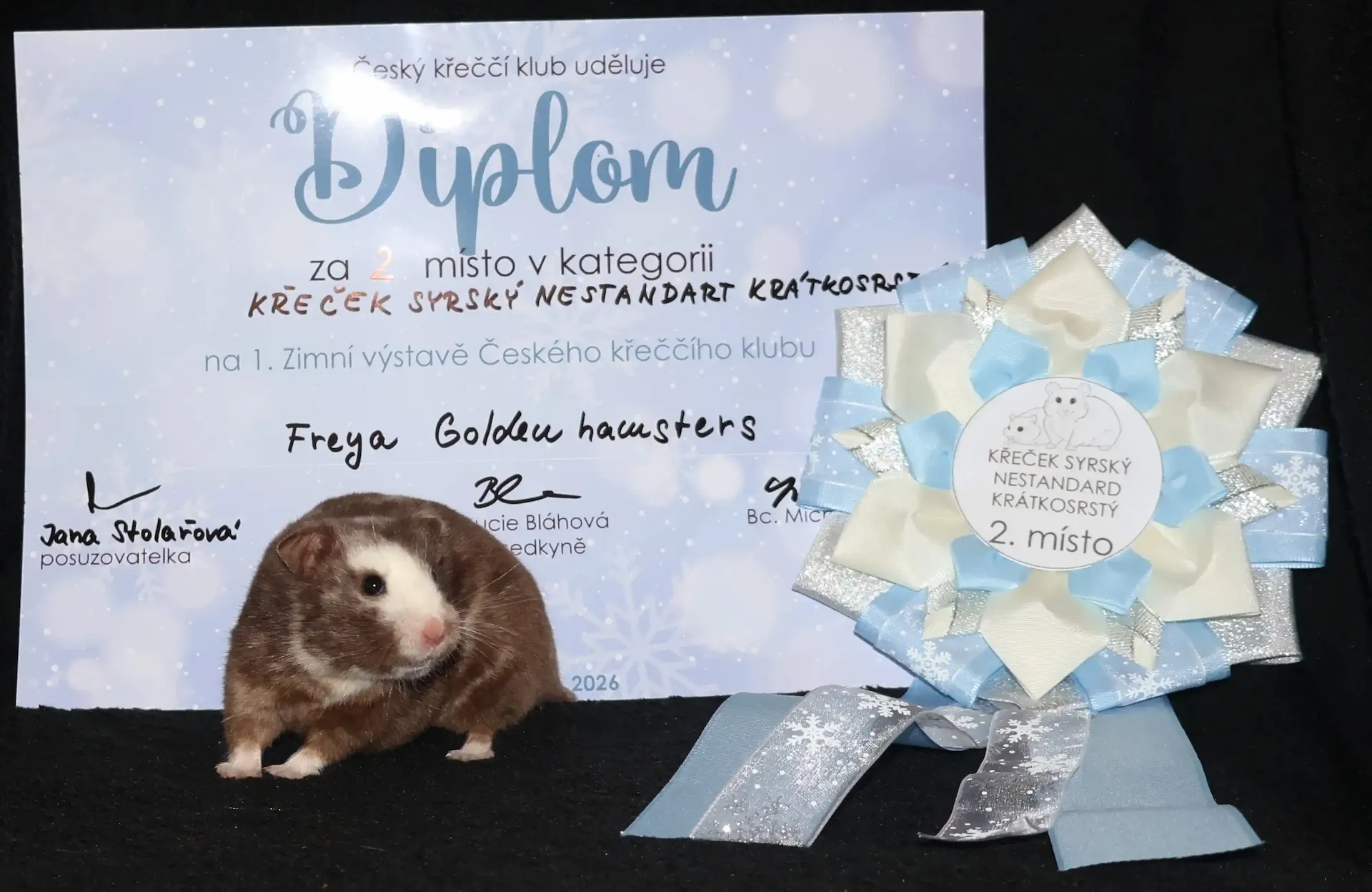 Ocenení za úmistění na výstavě