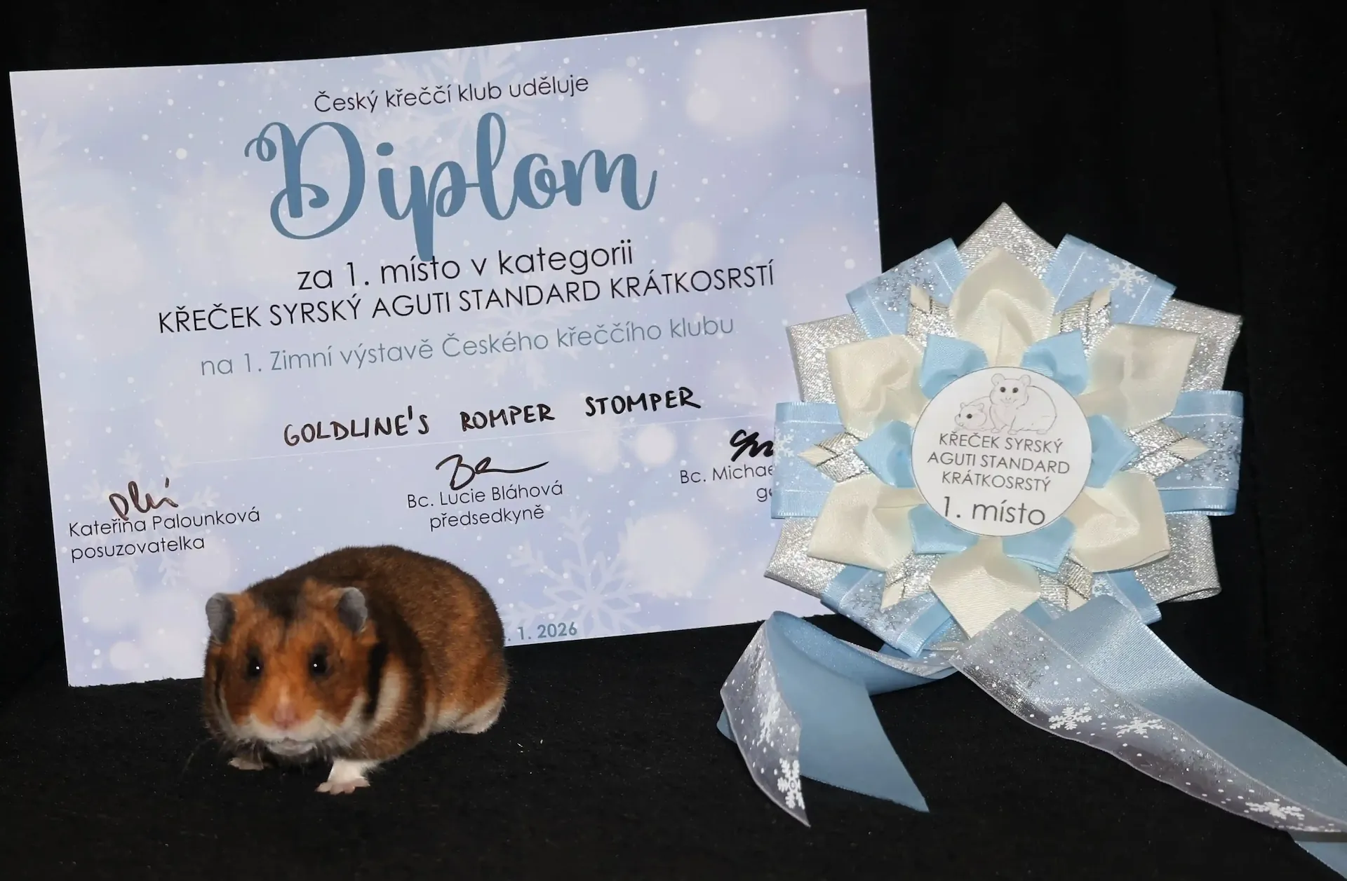 Ocenení za úmistění na výstavě